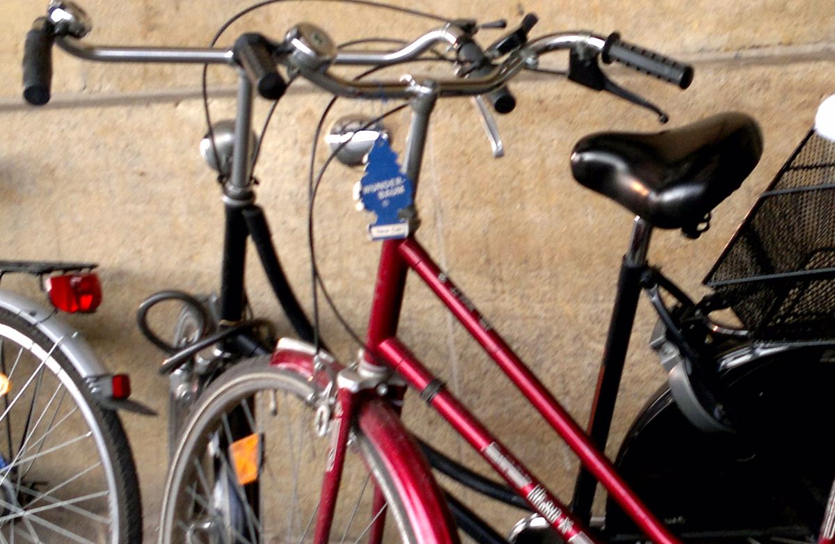 Wenn's mal wieder duftet beim Radeln...