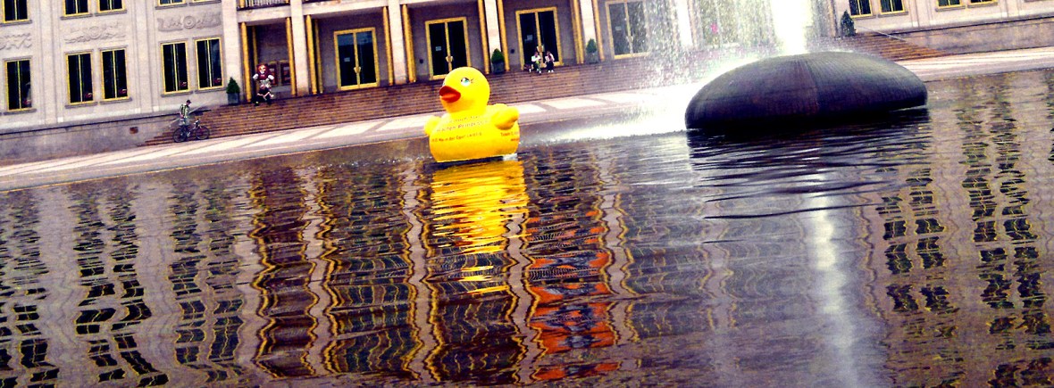 Header Fun - Ente im Opernteich