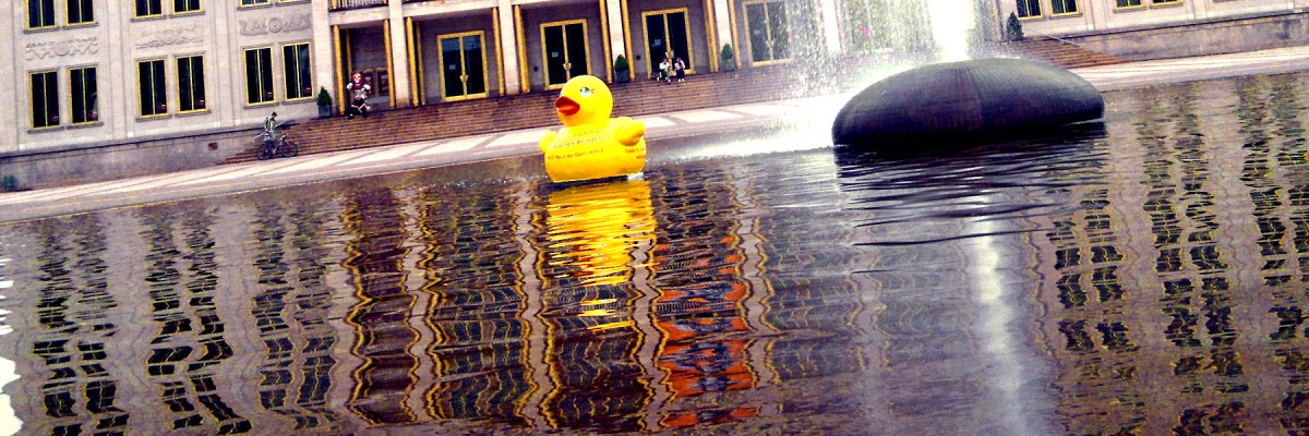Header Fun - Ente im Opernteich