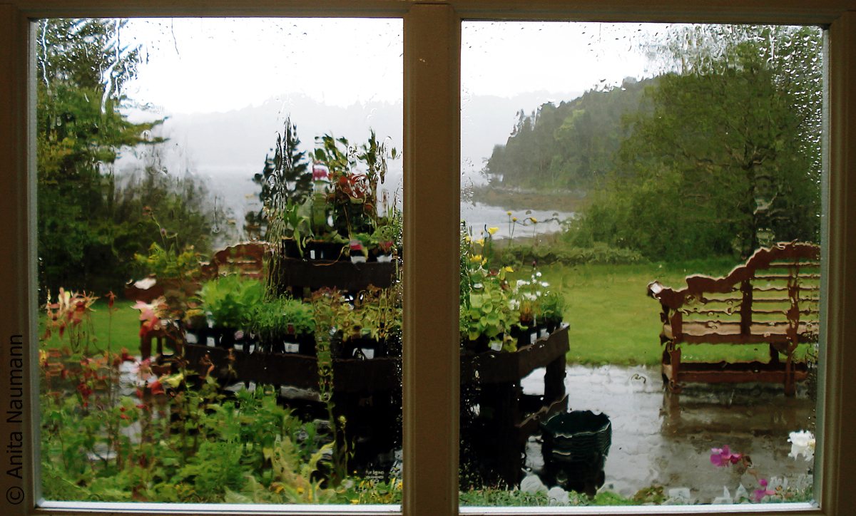 Fensterblick in den Regen über Inverewe Gardens