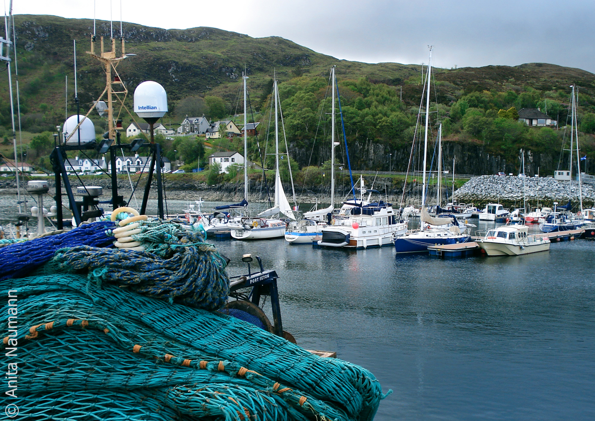 Im Hafen von Mallaig