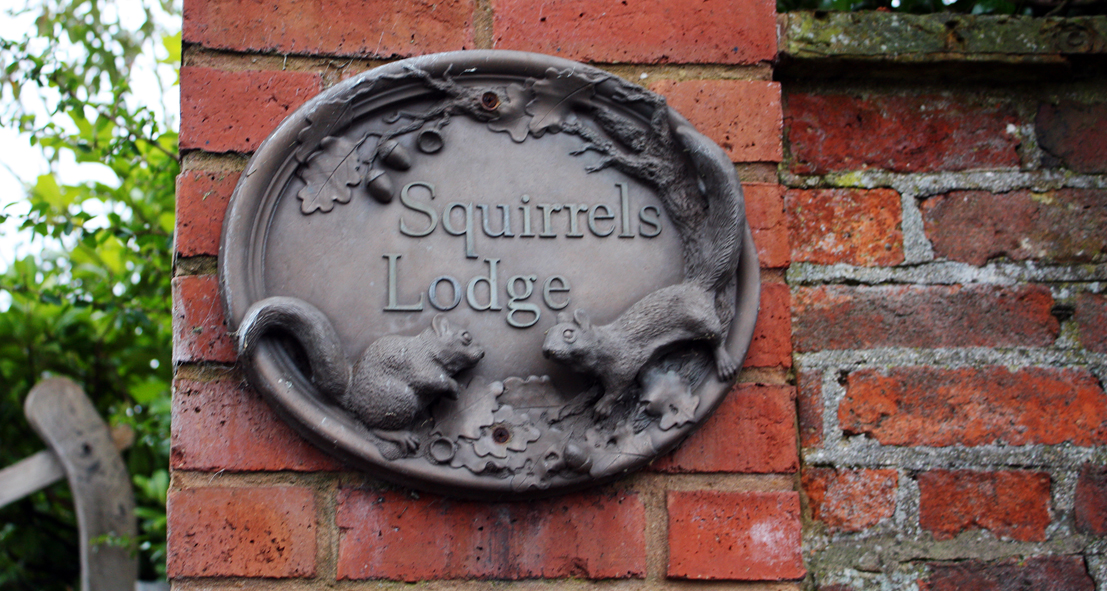 Impressionen aus England: Squirrels lodge